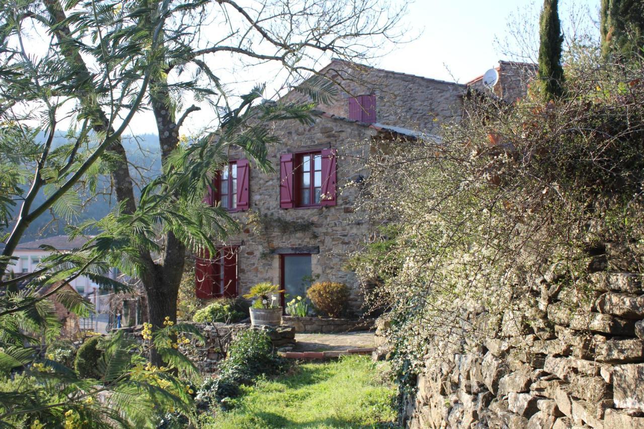 Appartement Le Pailler de la Planque à Camplong Extérieur photo